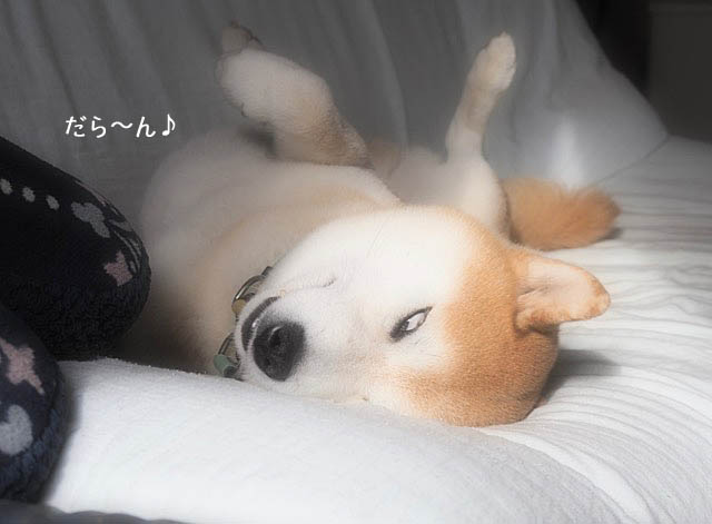 7日午後ブログ2