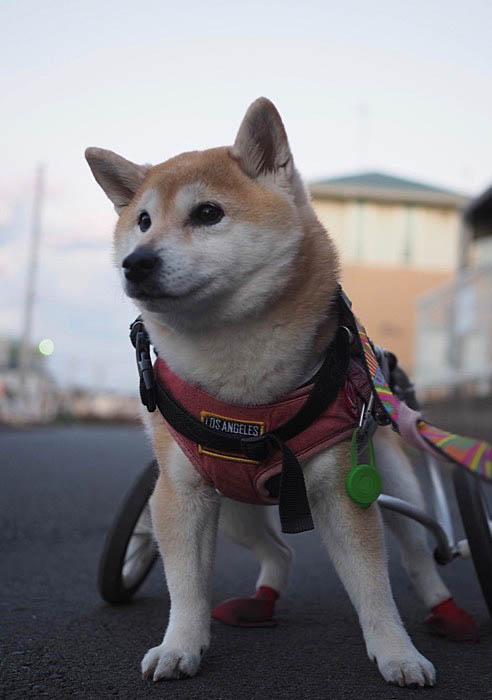 6日ブログ３
