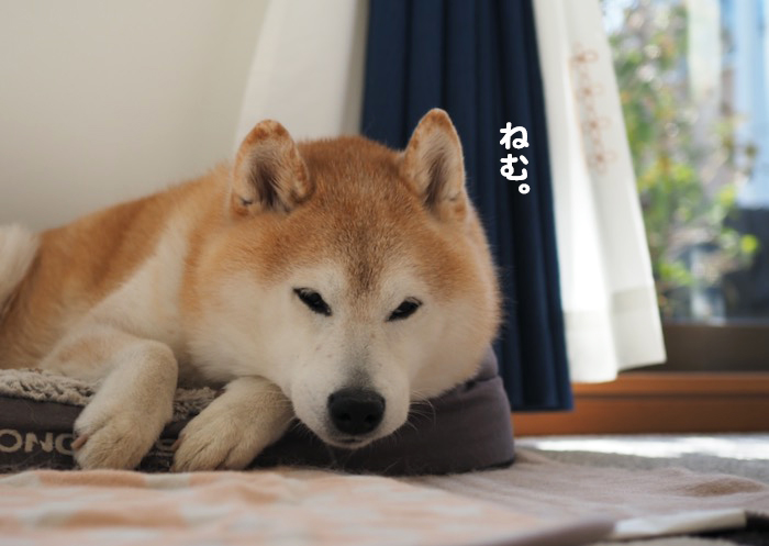 27日ブログ２