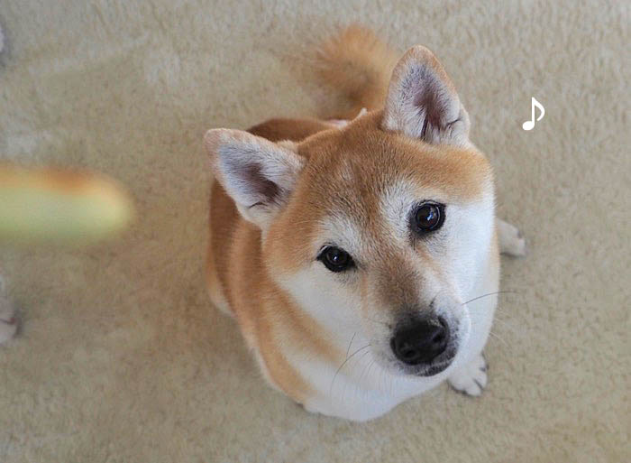 30日ブログ１４