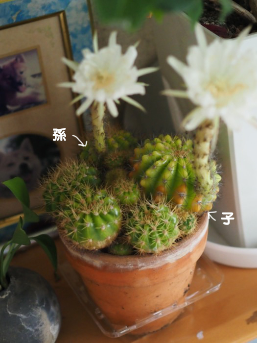 28日ブログ３