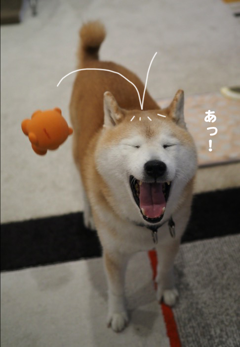 15日夜ブログ４