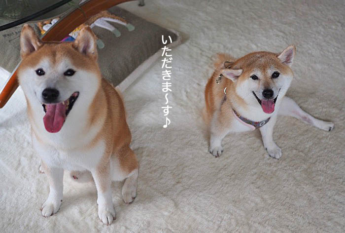 5日ブログ７
