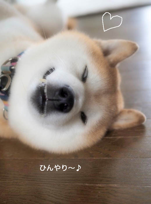27日ブログ１２