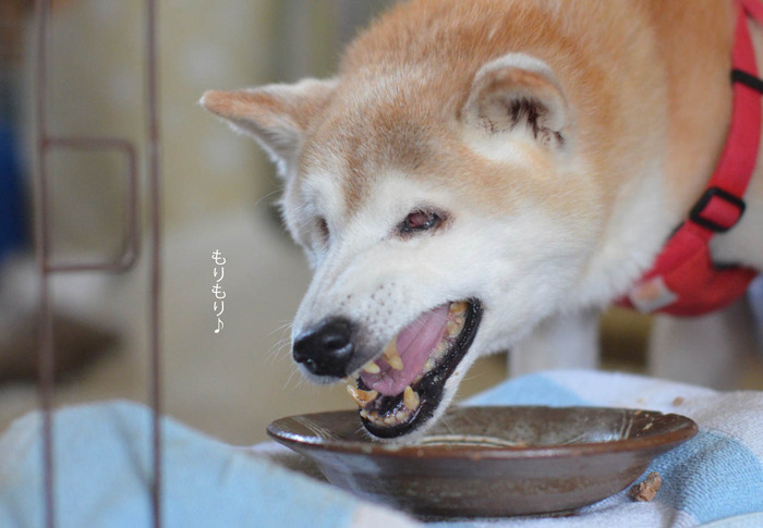 18日ブログ9