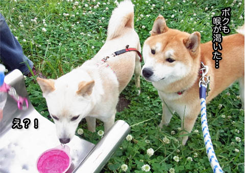 25日ブログ5.jpg
