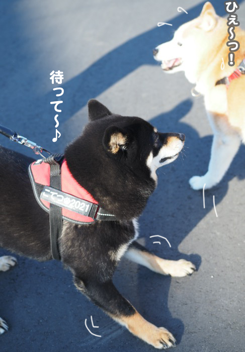 20日夕ブログ5