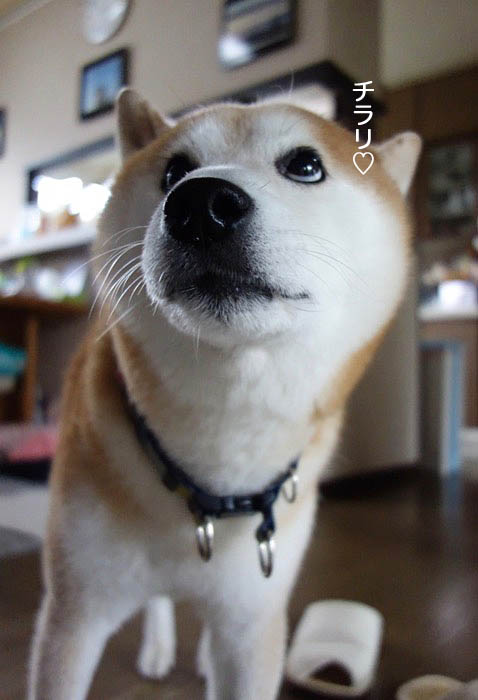 12日午後ブログ３