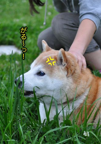 29日ブログ12.jpg
