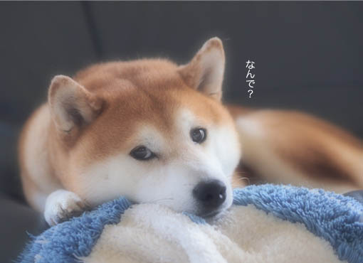 10日ブログ5.jpg