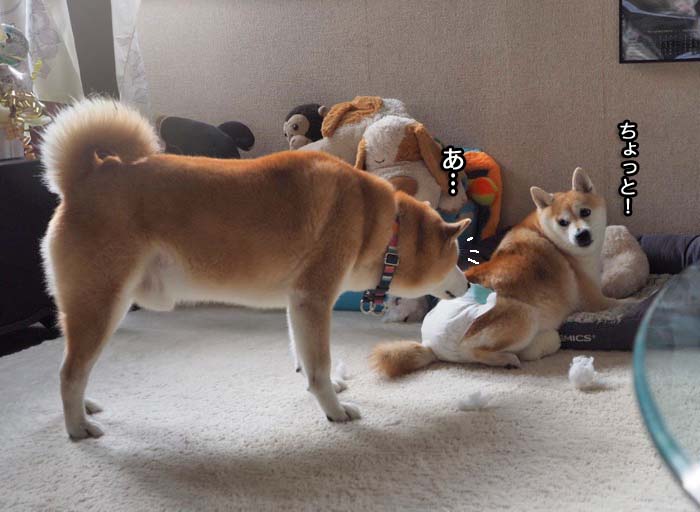 4日夜ブログ５