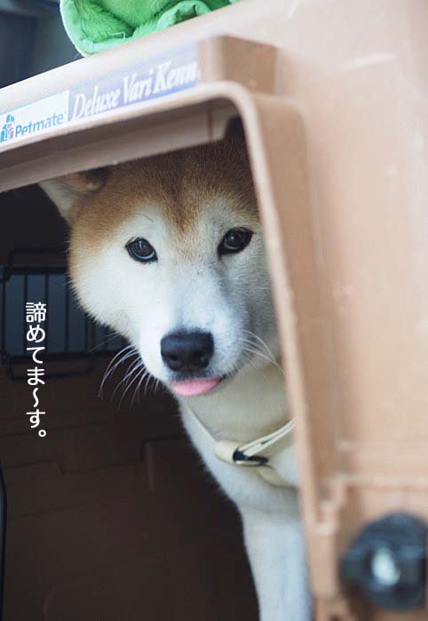 5日ブログ５
