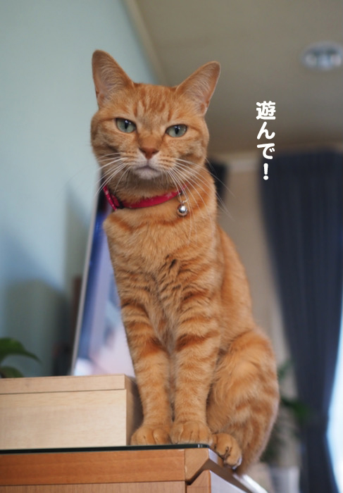 4日ブログ２