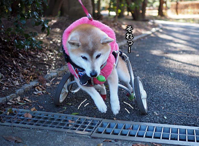 9日ブログ４