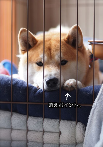 24日ブログ7.jpg