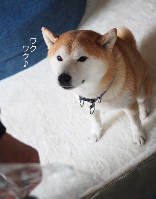 31日午後ブログ2