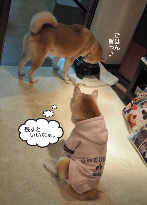 17日夜ブログ５