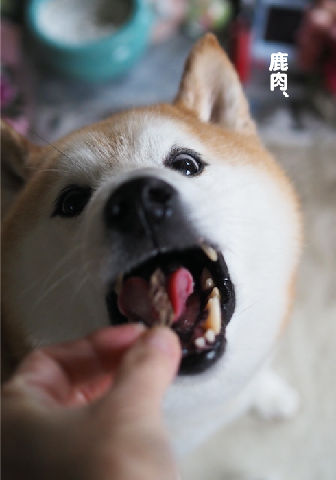 21日ブログ４
