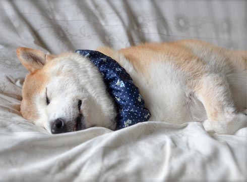 24日ブログ5.jpg