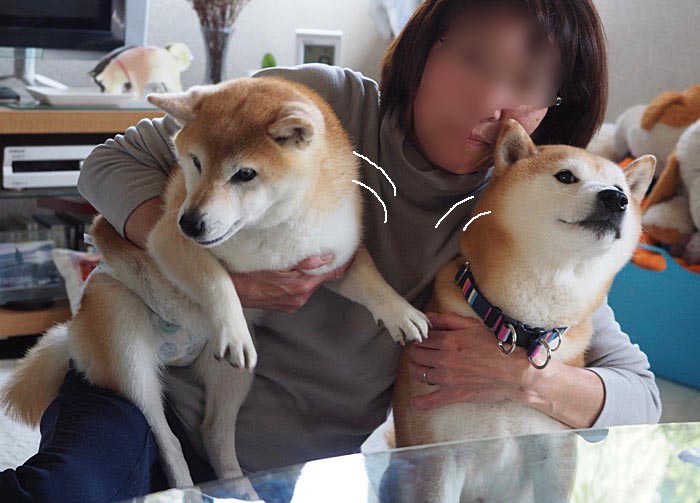 8日ブログ２