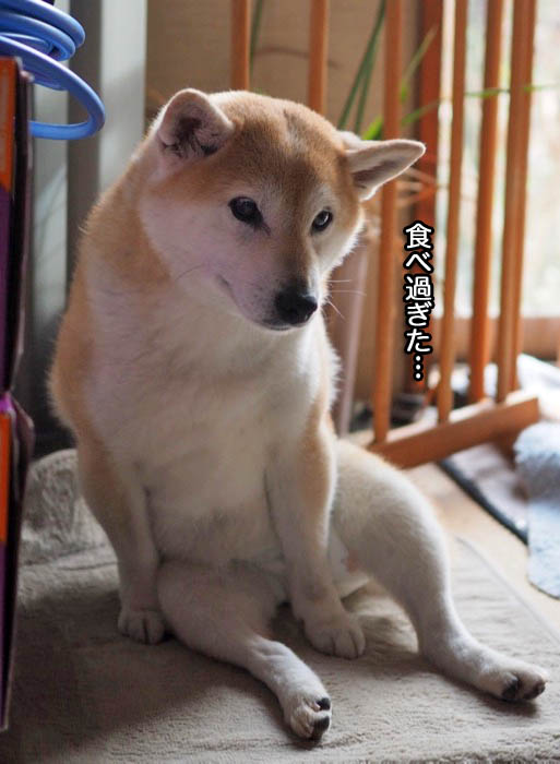 5日朝ブログ２