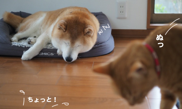 17日ブログ３