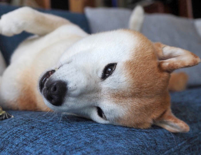 29日ブログ４