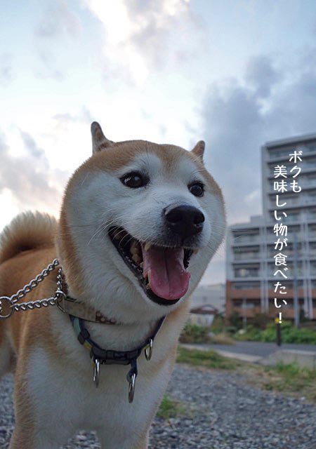 15日ブログ12