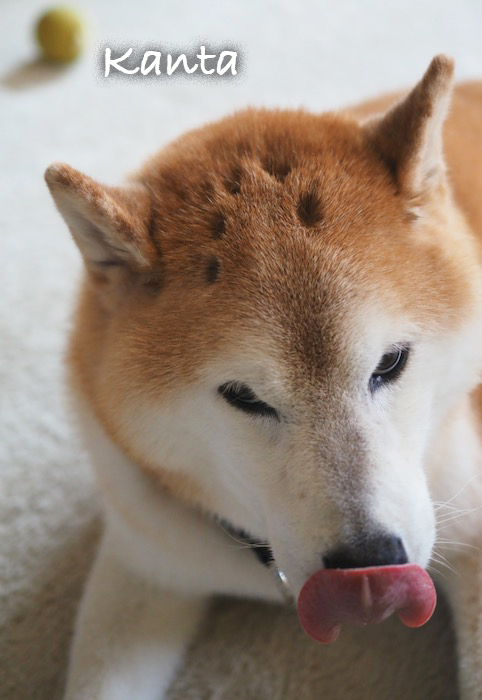 17日ブログ４