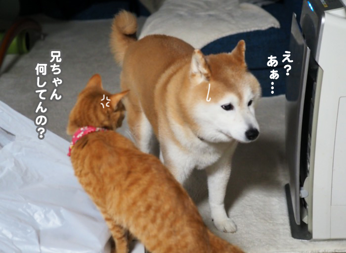 4日ブログ３