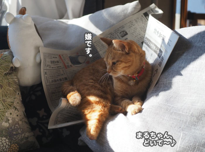 30日ブログ２