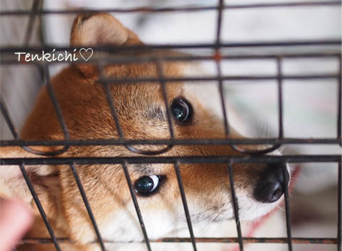 21日ブログ6.jpg
