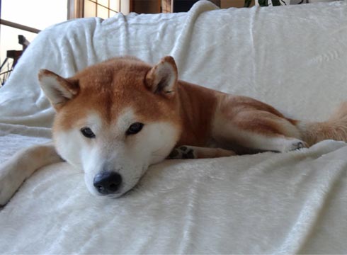 23日ブログ7.jpg