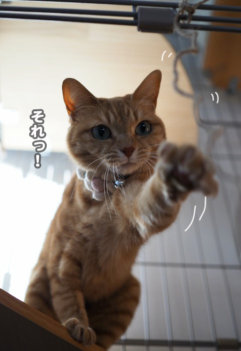 4日夕ブログ５