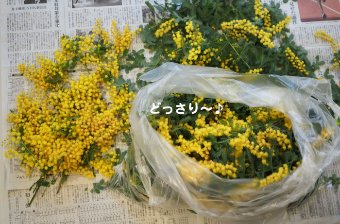 8日ブログ２