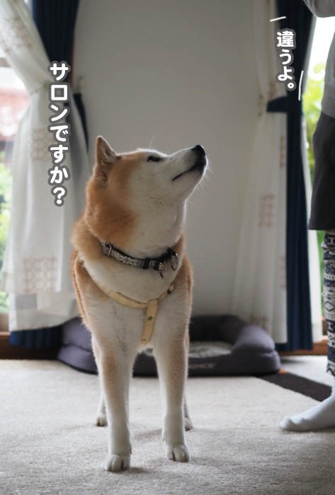 20日ブログ９
