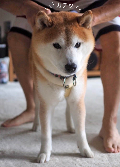 4日夕ブログ４