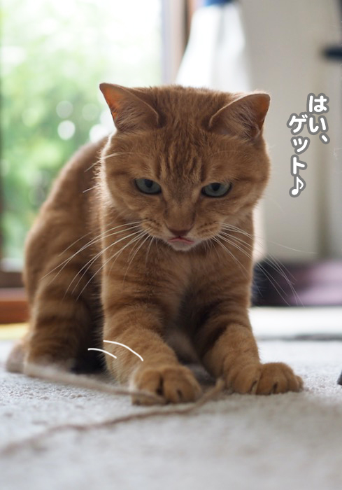 24日夕ブログ５