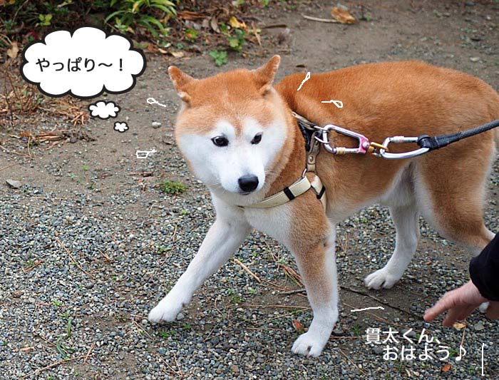25日ブログ３