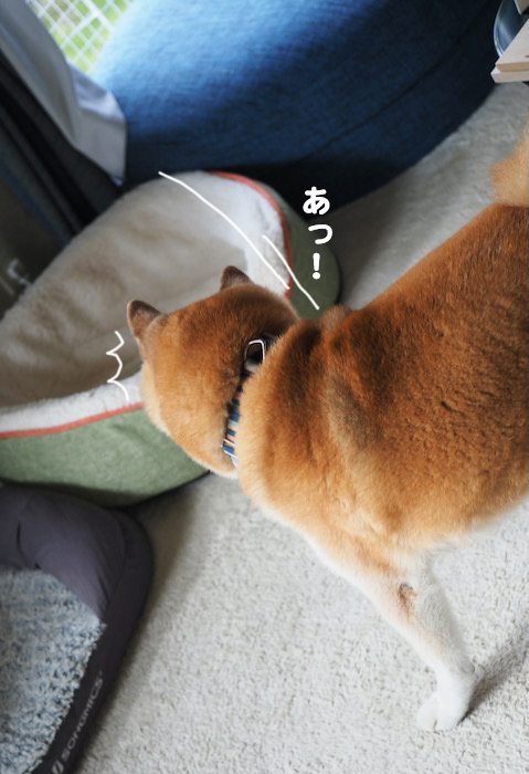 22日ブログ５