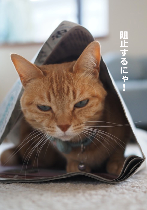 15日ブログ４