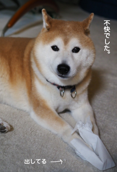 27日ブログ９