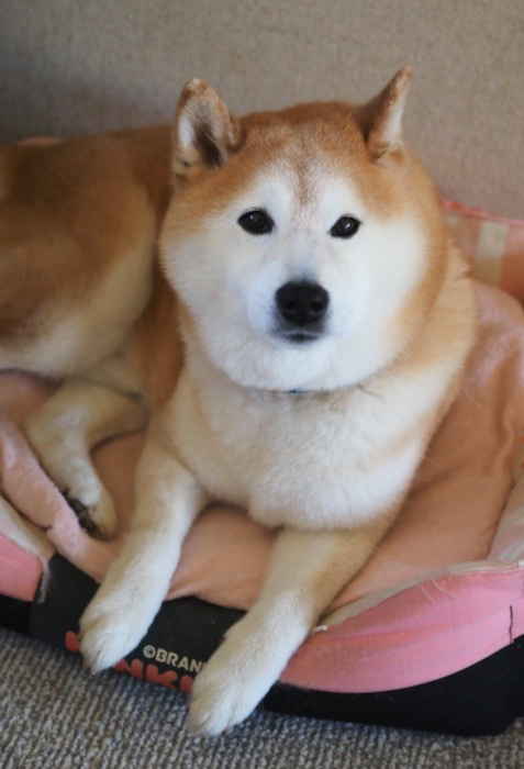 28日午後ブログ２
