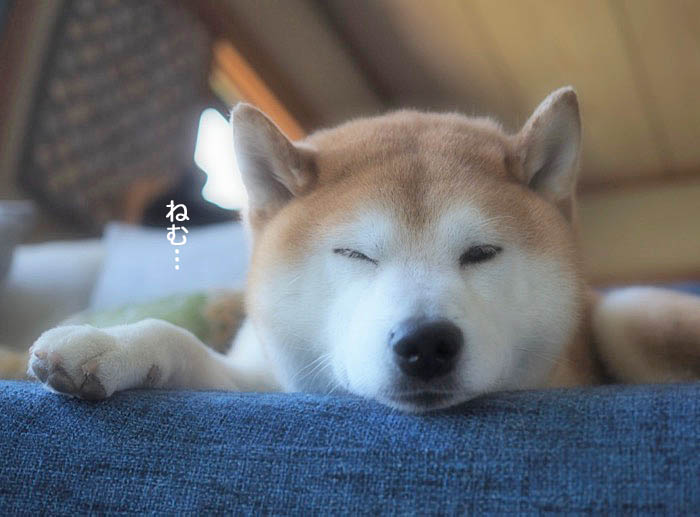 13日午後ブログ５