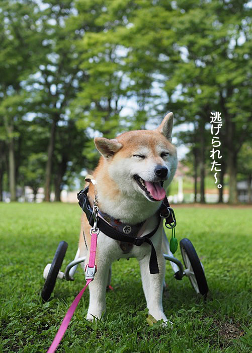9日ブログ９