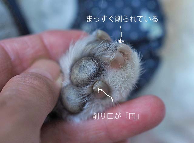 7日ブログ3