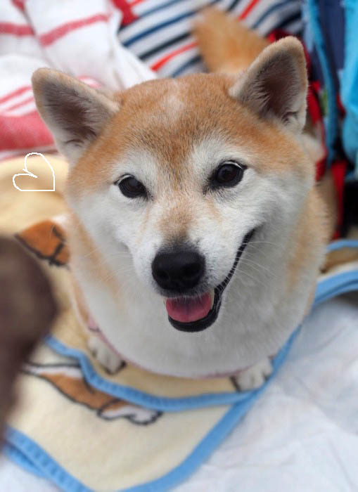 10日夜ブログ４