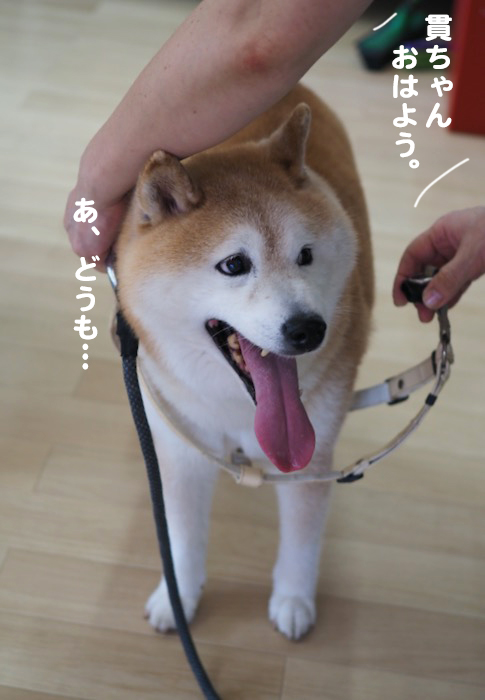 13日夕ブログ９
