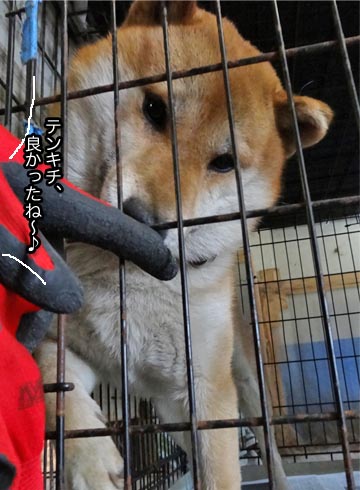 24日ブログ4.jpg