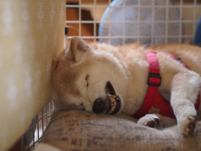 22日ブログ4